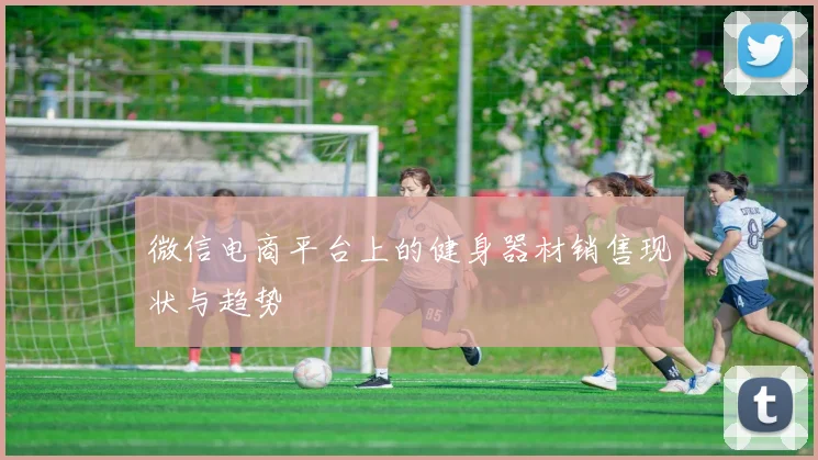 微信电商平台上的健身器材销售现状与趋势